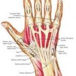 Wrist Injuries